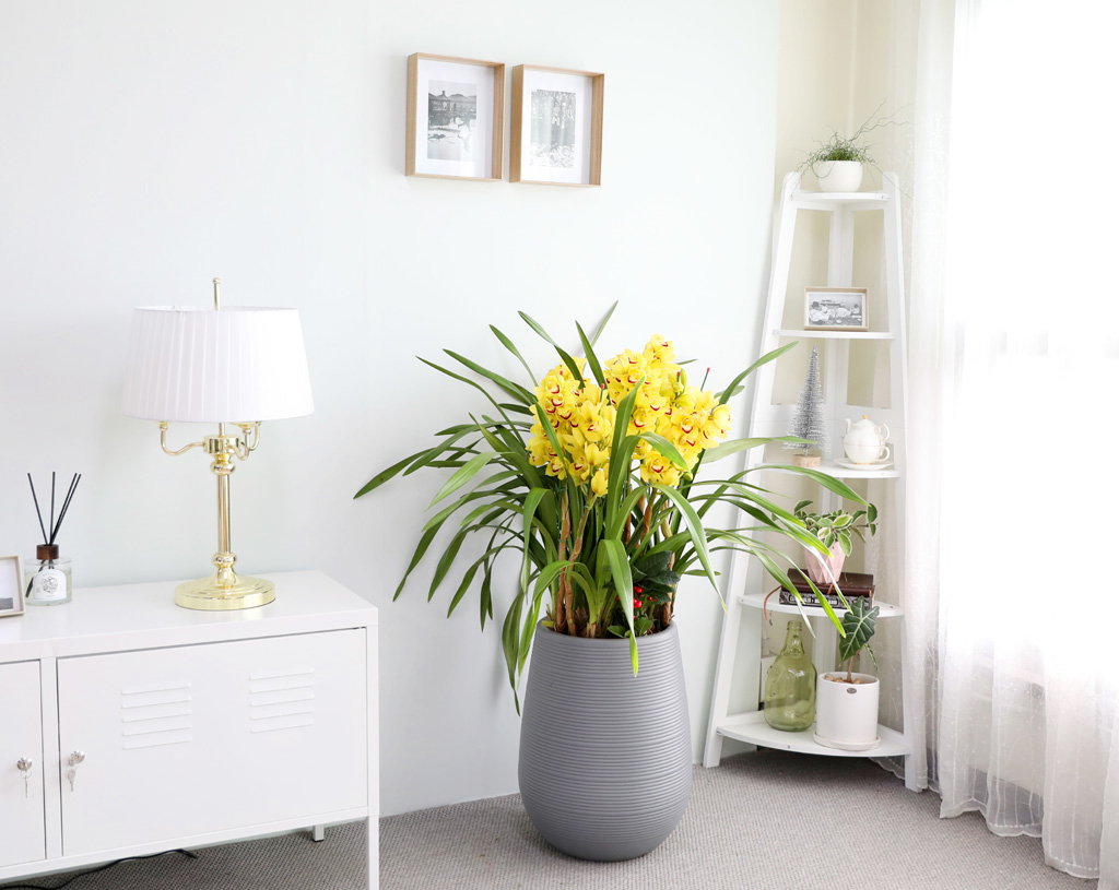 [ܿ λ̵ õ]  ɺ ()  ɹ