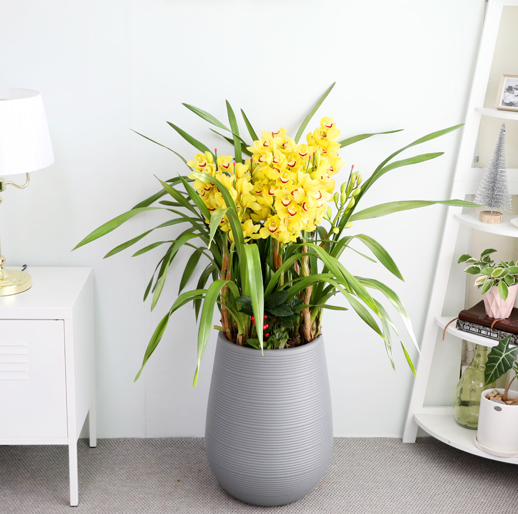 [ܿ λ̵ õ]  ɺ ()  ɹ