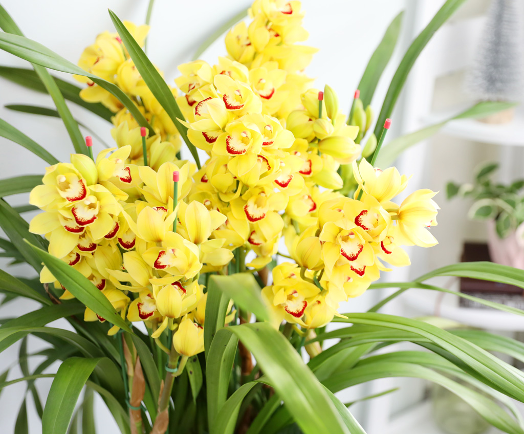 [ܿ λ̵ õ]  ɺ ()  ɹ