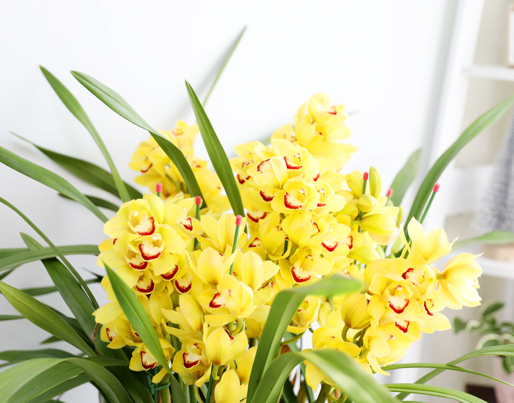 [ܿ λ̵ õ]  ɺ ()  ɹ