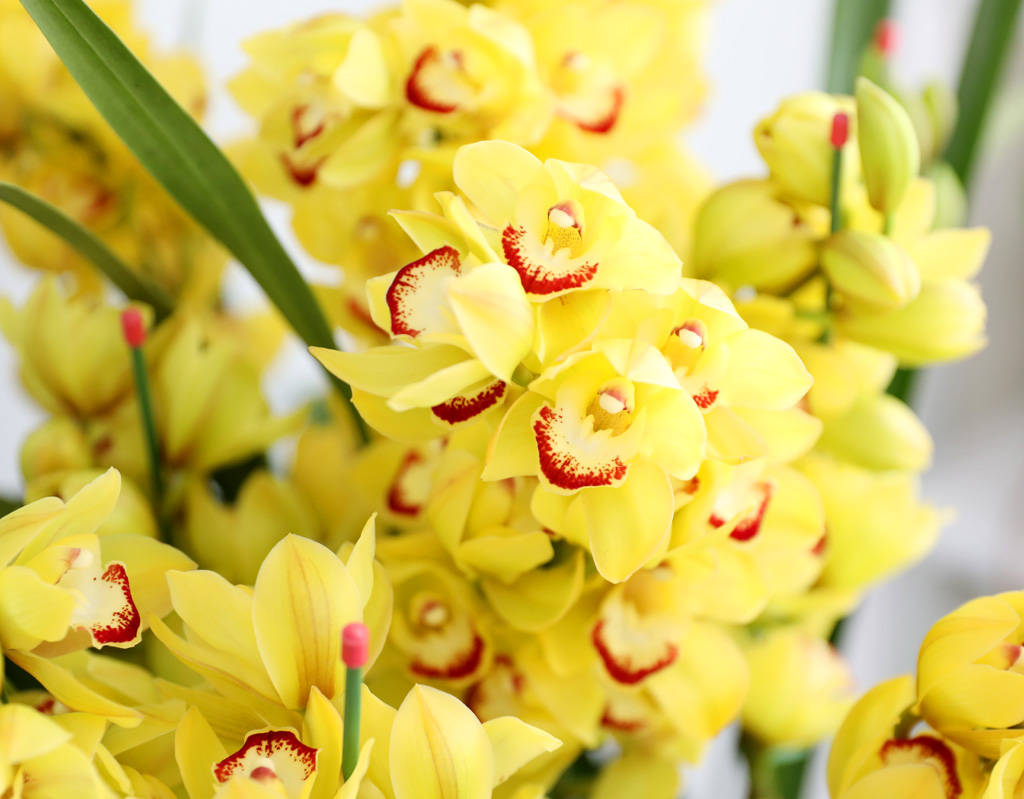 [ܿ λ̵ õ]  ɺ ()  ɹ