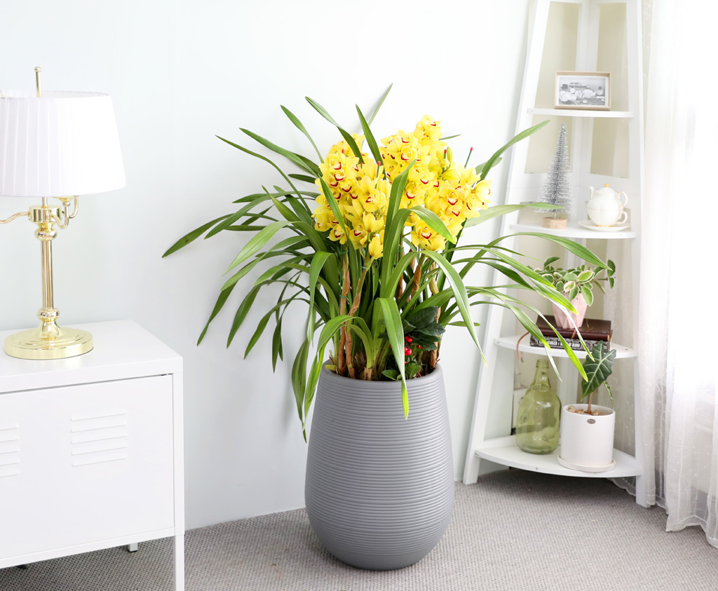 [ܿ λ̵ õ]  ɺ ()  ɹ