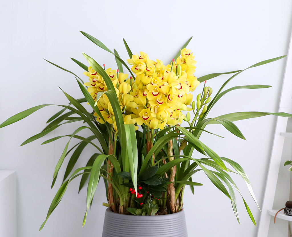 [ܿ λ̵ õ]  ɺ ()  ɹ