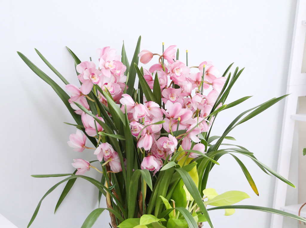 [����/��������] ȸ�� ȭ�⿡ ��� ���� ����� ��ũ �ɺ��� (B) ���� �ɹ��