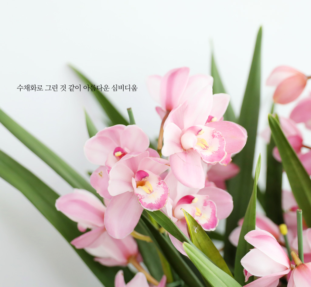 [����/��������] ȸ�� ȭ�⿡ ��� ���� ����� ��ũ �ɺ��� (B) ���� �ɹ��