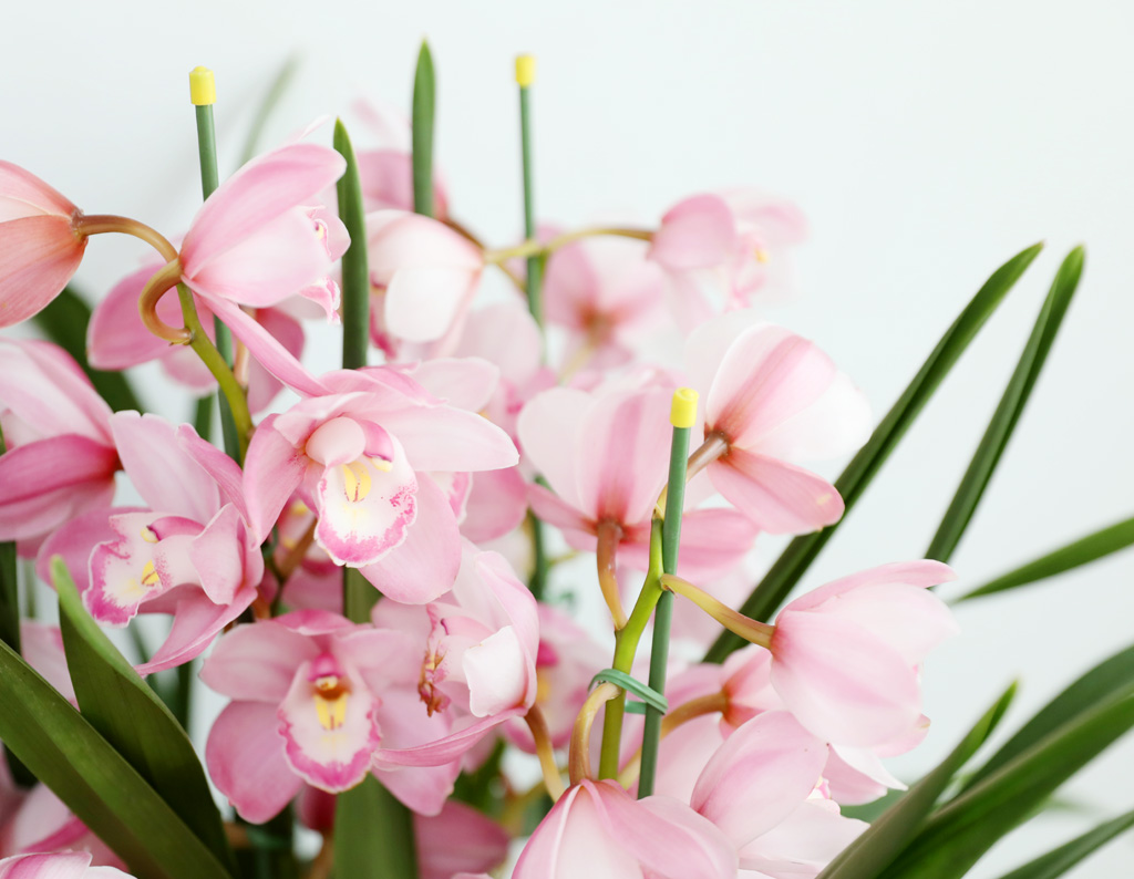 [����/��������] ȸ�� ȭ�⿡ ��� ���� ����� ��ũ �ɺ��� (B) ���� �ɹ��