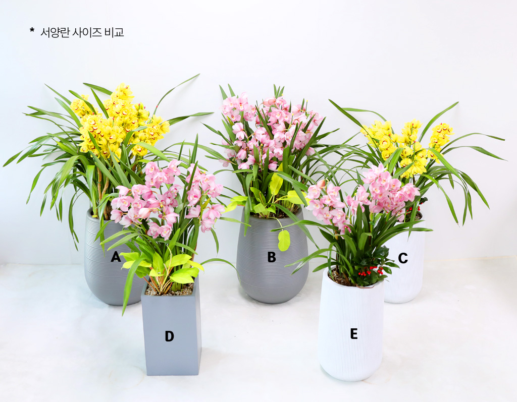 [����/��������] ȸ�� ȭ�⿡ ��� ���� ����� ��ũ �ɺ��� (B) ���� �ɹ��