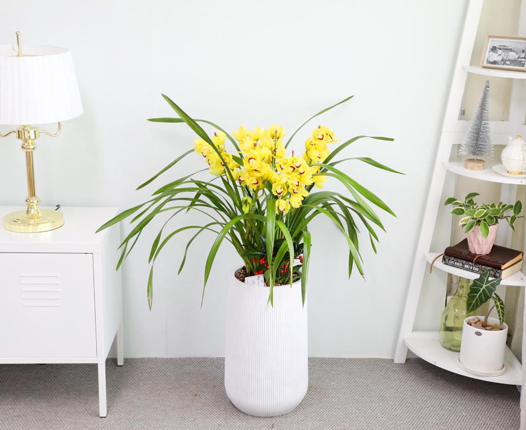 [�ܿ� �λ��̵� ��õ] ��� �ɺ��� (��) ���� �ɹ��