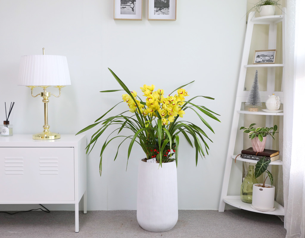 [�ܿ� �λ��̵� ��õ] ��� �ɺ��� (��) ���� �ɹ��