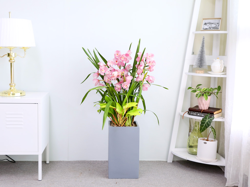 [����/��������] �׷��� �簢ȭ�⿡ ��� ���� ����� ��ũ �ɺ��� (D) ���� �ɹ��