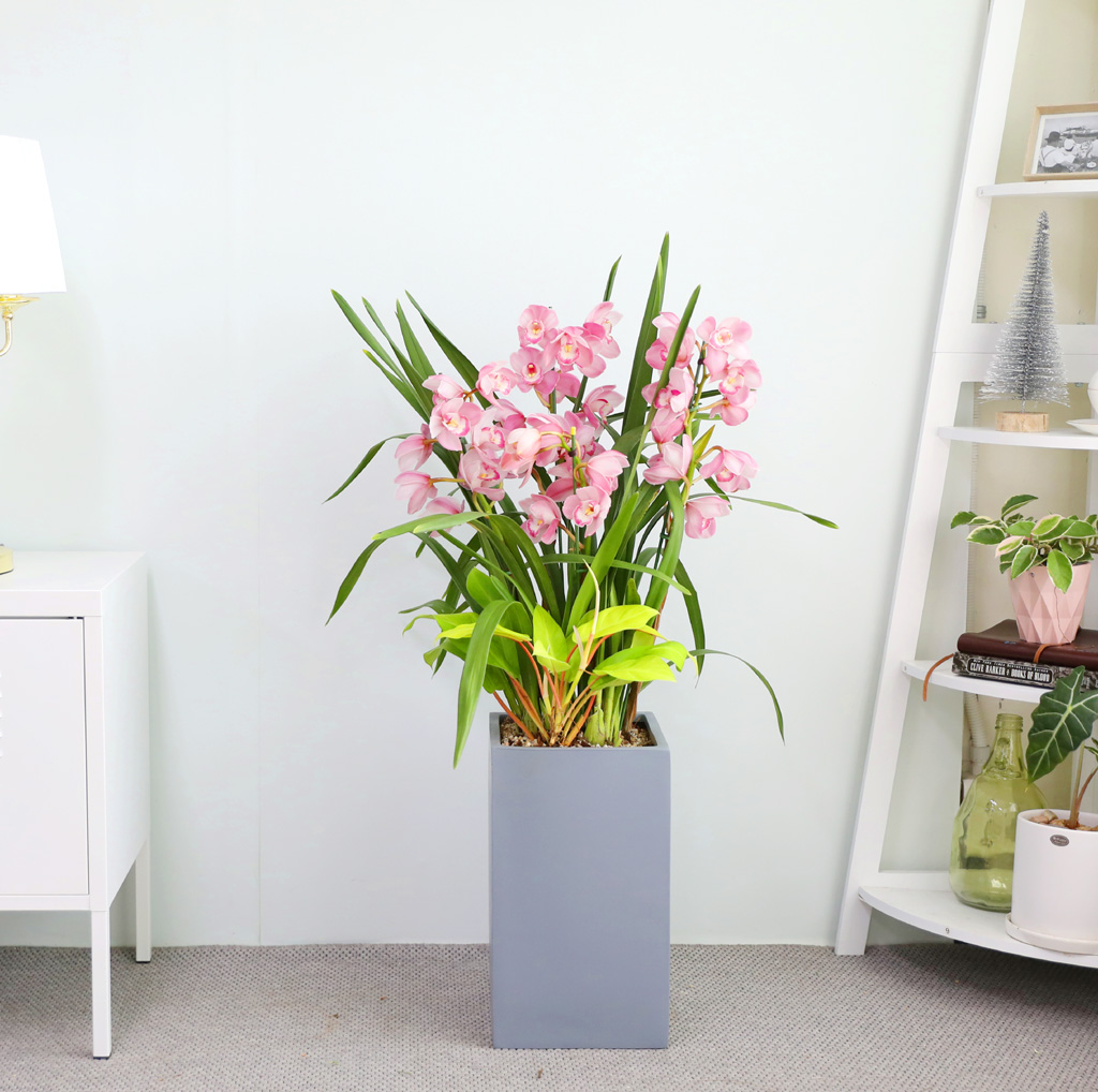 [����/��������] �׷��� �簢ȭ�⿡ ��� ���� ����� ��ũ �ɺ��� (D) ���� �ɹ��