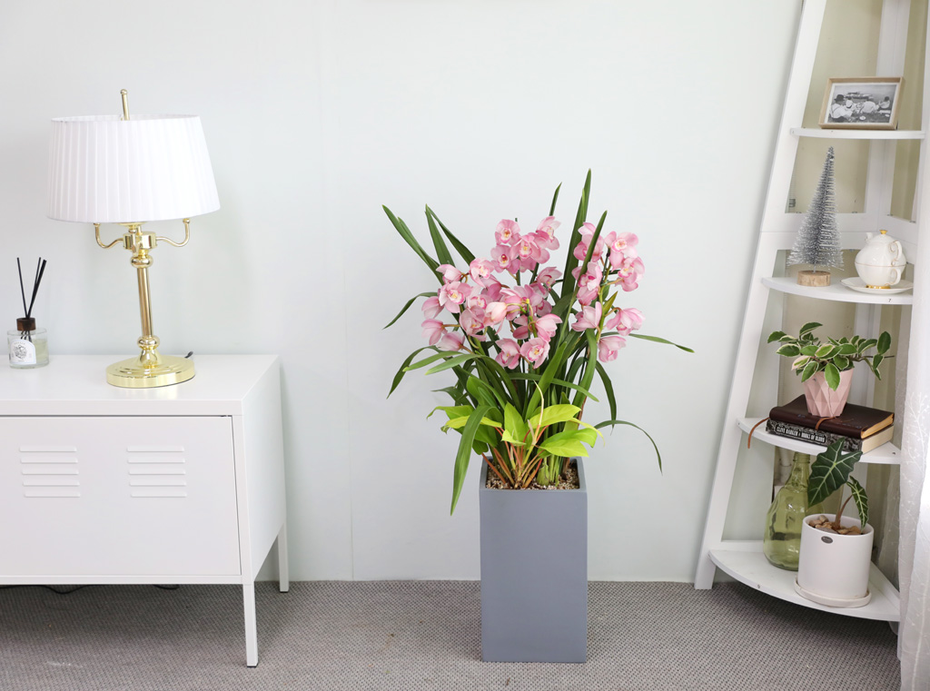 [����/��������] �׷��� �簢ȭ�⿡ ��� ���� ����� ��ũ �ɺ��� (D) ���� �ɹ��