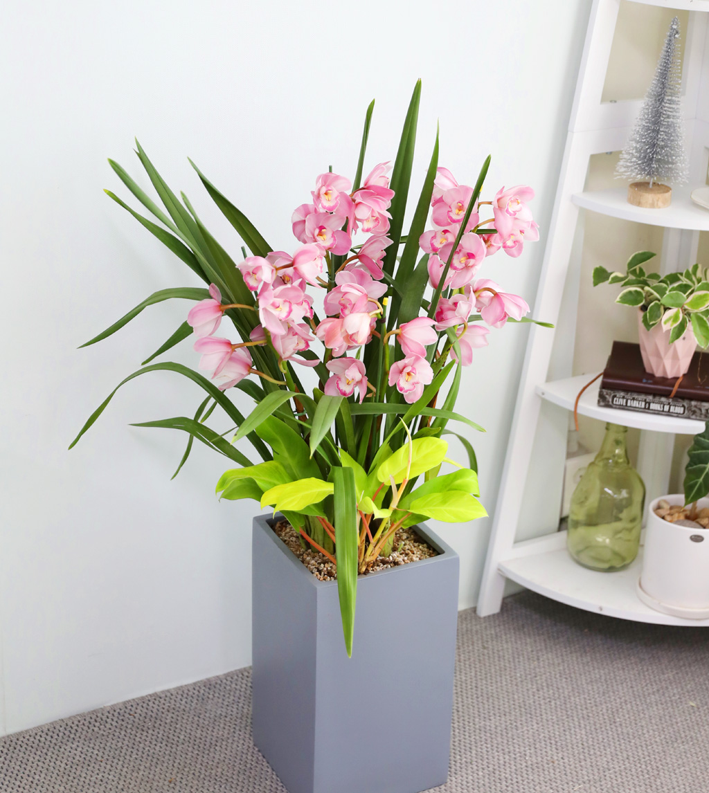 [����/��������] �׷��� �簢ȭ�⿡ ��� ���� ����� ��ũ �ɺ��� (D) ���� �ɹ��