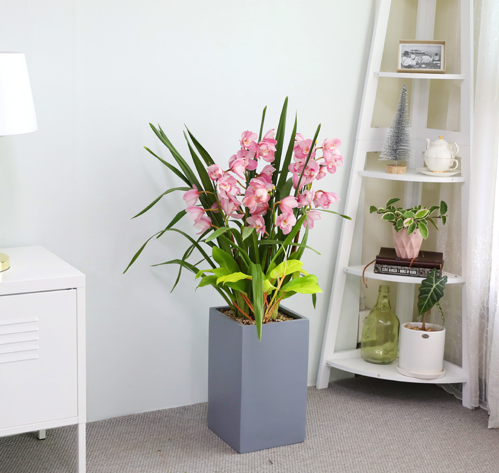 [����/��������] �׷��� �簢ȭ�⿡ ��� ���� ����� ��ũ �ɺ��� (D) ���� �ɹ��