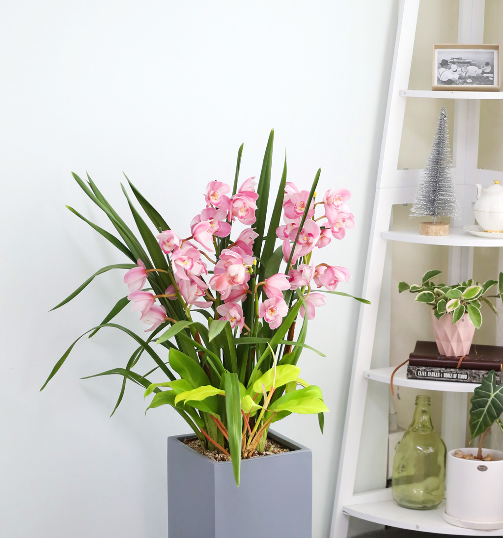 [����/��������] �׷��� �簢ȭ�⿡ ��� ���� ����� ��ũ �ɺ��� (D) ���� �ɹ��