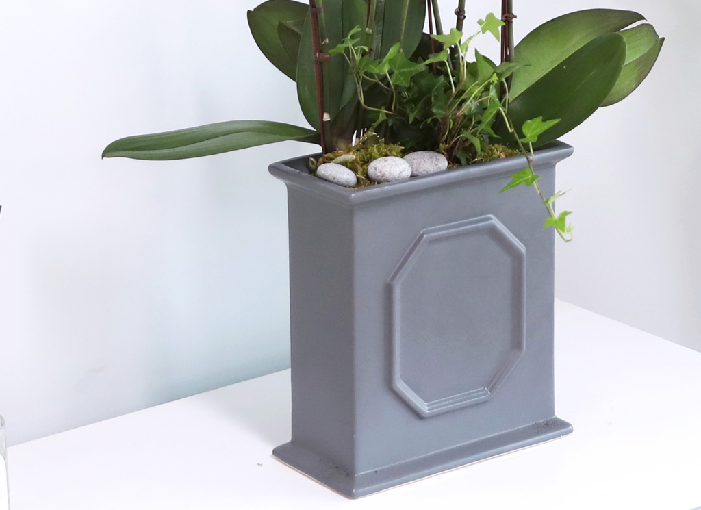  ó ƿ´ - õȫ (޹簢)  ɹ