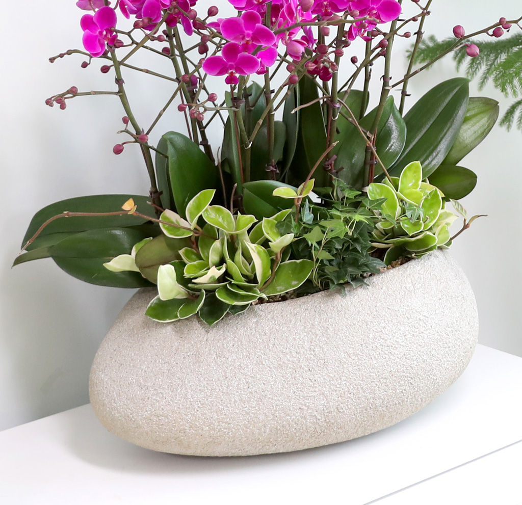  ó ƿ´ - õȫȣ (Ÿ˸ȭ)