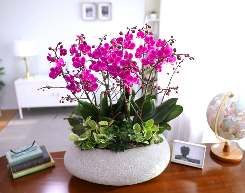  ó ƿ´ - õȫȣ (Ÿ˸ȭ)