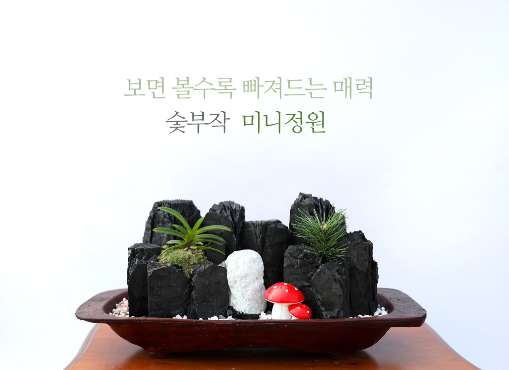 °ø±âÁ¤ÈŹ¿ùÇÑ ½¡ºÎÀÛ ¹Ì´ÏÁ¤¿ø ²ÉÁý ²É¹è´Þ