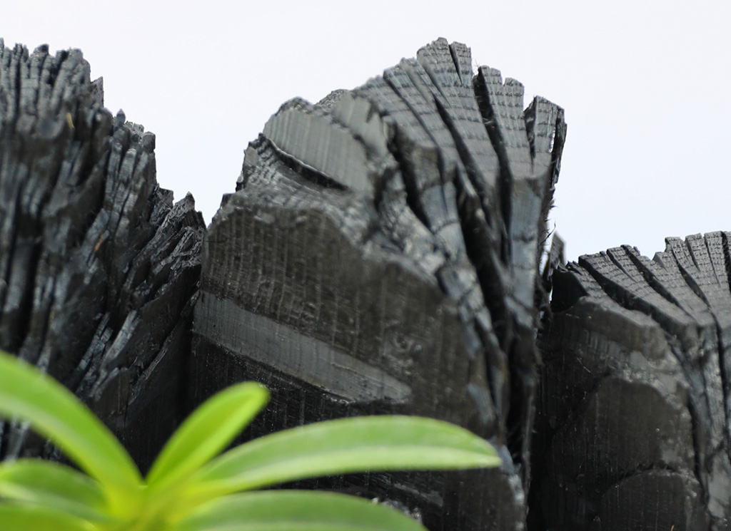 °ø±âÁ¤ÈŹ¿ùÇÑ ½¡ºÎÀÛ ¹Ì´ÏÁ¤¿ø ²ÉÁý ²É¹è´Þ