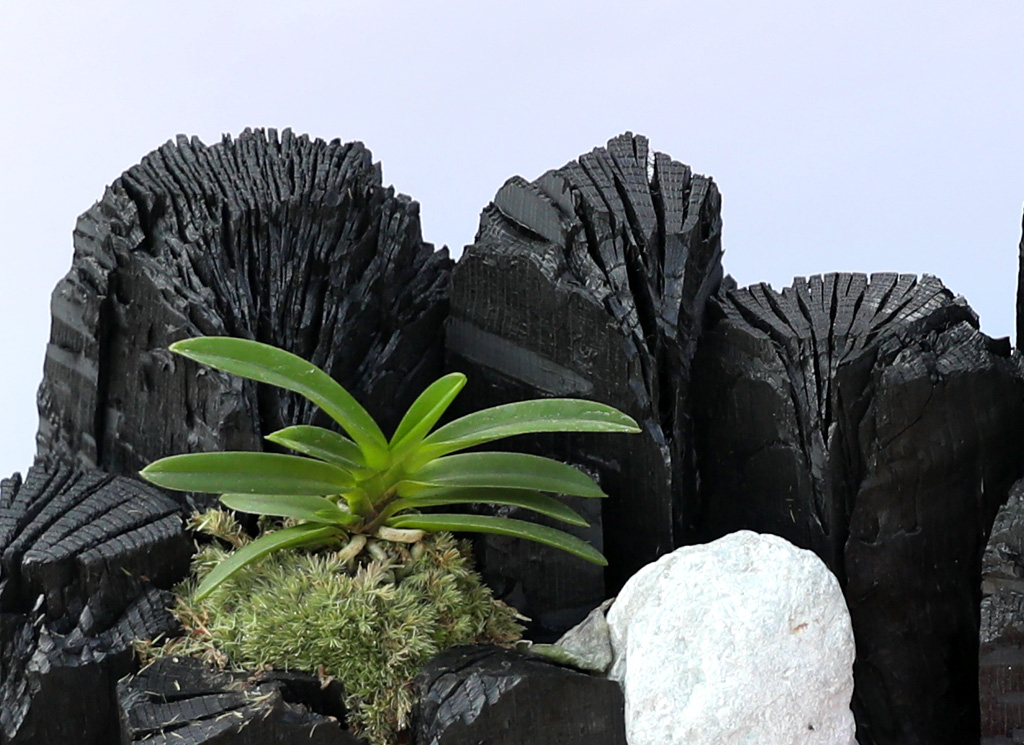 °ø±âÁ¤ÈŹ¿ùÇÑ ½¡ºÎÀÛ ¹Ì´ÏÁ¤¿ø ²ÉÁý ²É¹è´Þ