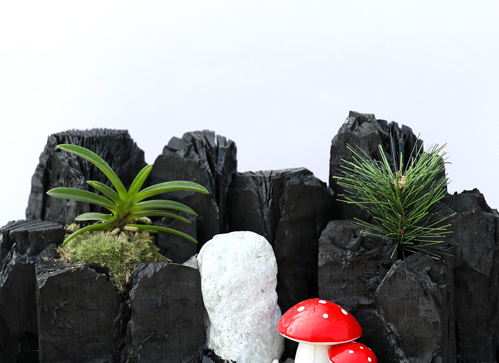 °ø±âÁ¤ÈŹ¿ùÇÑ ½¡ºÎÀÛ ¹Ì´ÏÁ¤¿ø ²ÉÁý ²É¹è´Þ