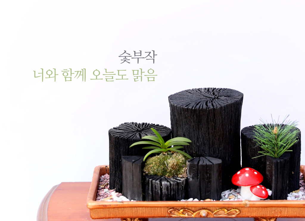 °ø±âÁ¤ÈŹ¿ùÇÑ ½¡ºÎÀÛ ³Ê¿Í ÇÔ²² ¿À´Ãµµ ¸¼À½ ²ÉÁý ²É¹è´Þ