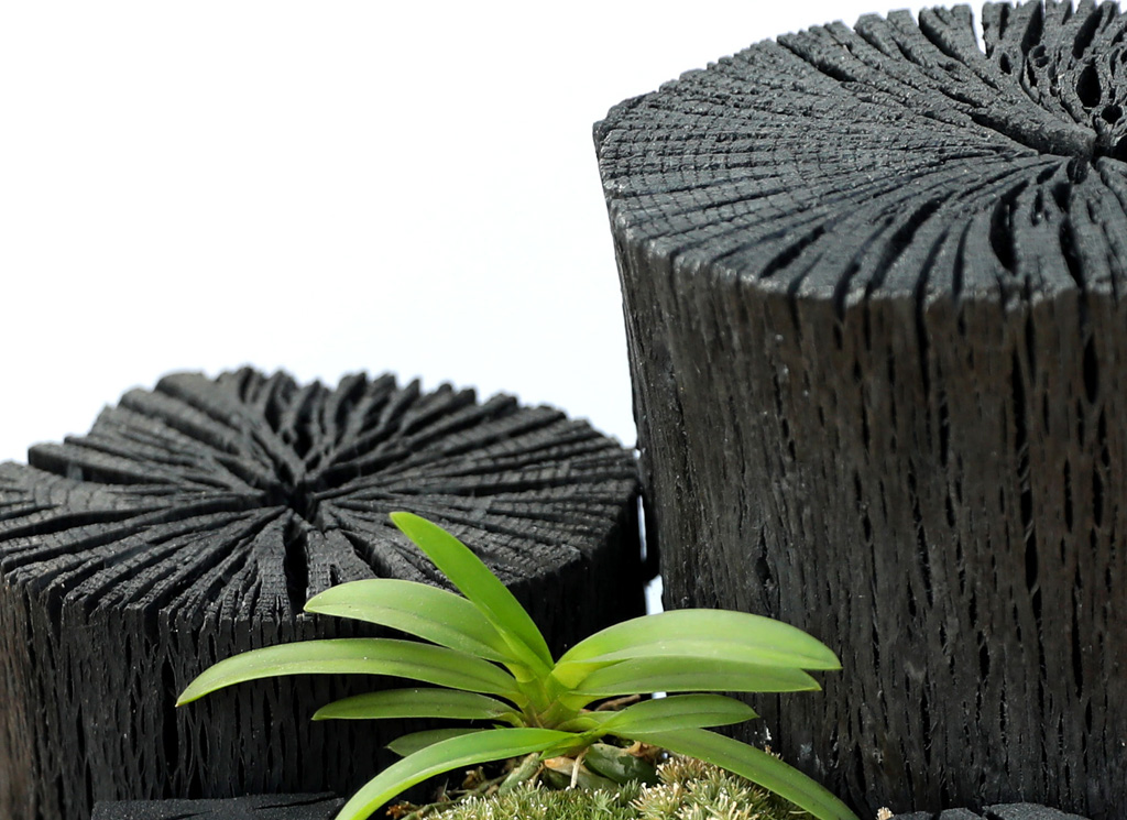 °ø±âÁ¤ÈŹ¿ùÇÑ ½¡ºÎÀÛ ³Ê¿Í ÇÔ²² ¿À´Ãµµ ¸¼À½ ²ÉÁý ²É¹è´Þ