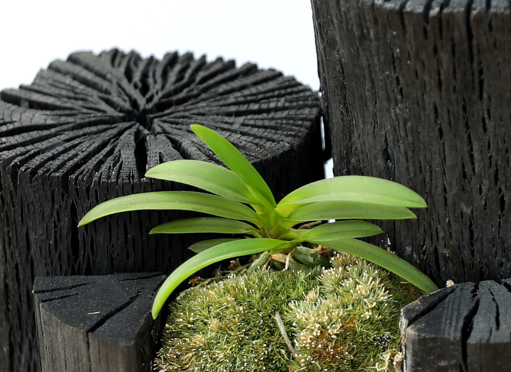 °ø±âÁ¤ÈŹ¿ùÇÑ ½¡ºÎÀÛ ³Ê¿Í ÇÔ²² ¿À´Ãµµ ¸¼À½ ²ÉÁý ²É¹è´Þ