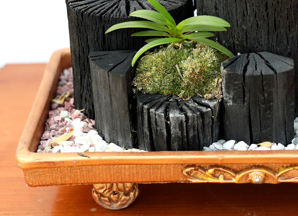 °ø±âÁ¤ÈŹ¿ùÇÑ ½¡ºÎÀÛ ³Ê¿Í ÇÔ²² ¿À´Ãµµ ¸¼À½ ²ÉÁý ²É¹è´Þ