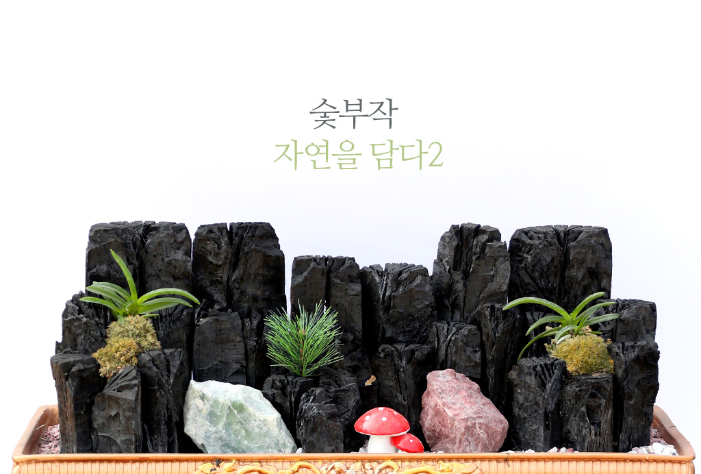 °ø±âÁ¤ÈŹ¿ùÇÑ ½¡ºÎÀÛ ÀÚ¿¬À» ´ã´Ù2