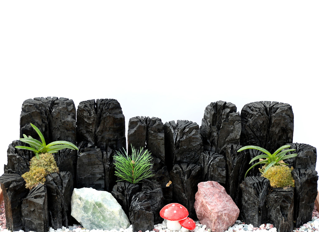 °ø±âÁ¤ÈŹ¿ùÇÑ ½¡ºÎÀÛ ÀÚ¿¬À» ´ã´Ù2