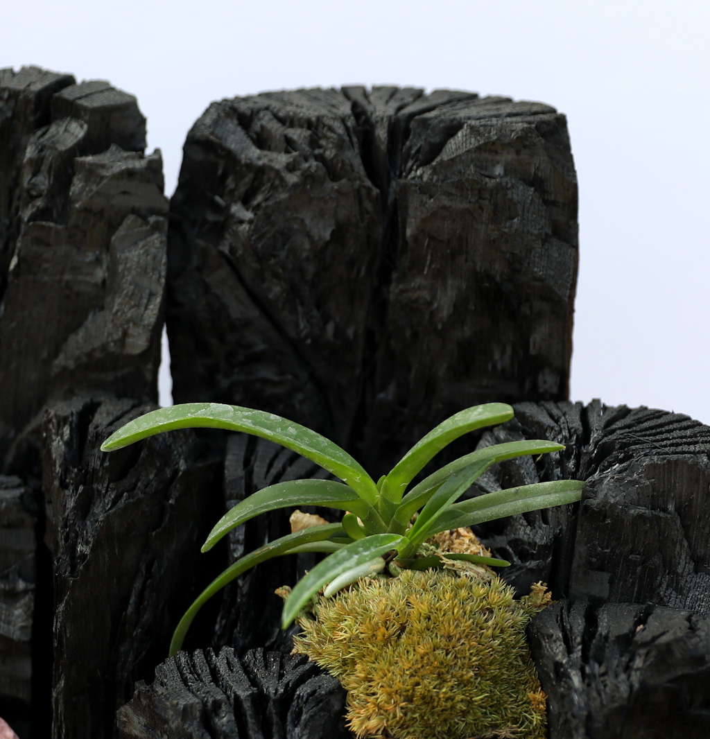 °ø±âÁ¤ÈŹ¿ùÇÑ ½¡ºÎÀÛ ÀÚ¿¬À» ´ã´Ù2