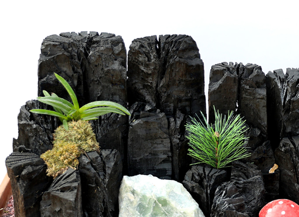 °ø±âÁ¤ÈŹ¿ùÇÑ ½¡ºÎÀÛ ÀÚ¿¬À» ´ã´Ù2