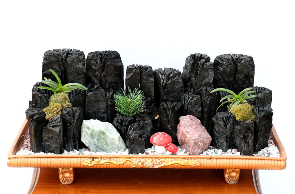 °ø±âÁ¤ÈŹ¿ùÇÑ ½¡ºÎÀÛ ÀÚ¿¬À» ´ã´Ù2