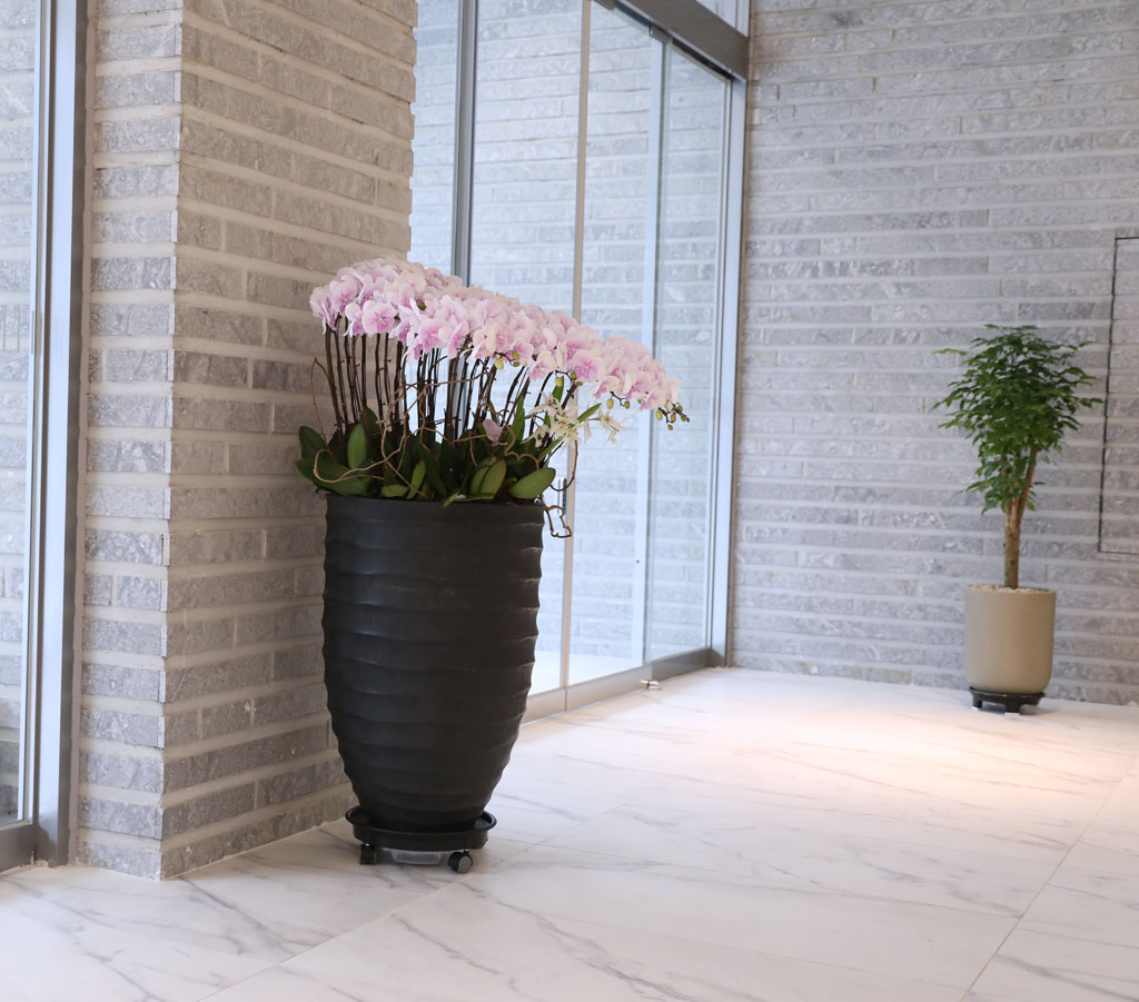 ´ëÇü¼¾ç¶õ - ³ëºí¸®½º