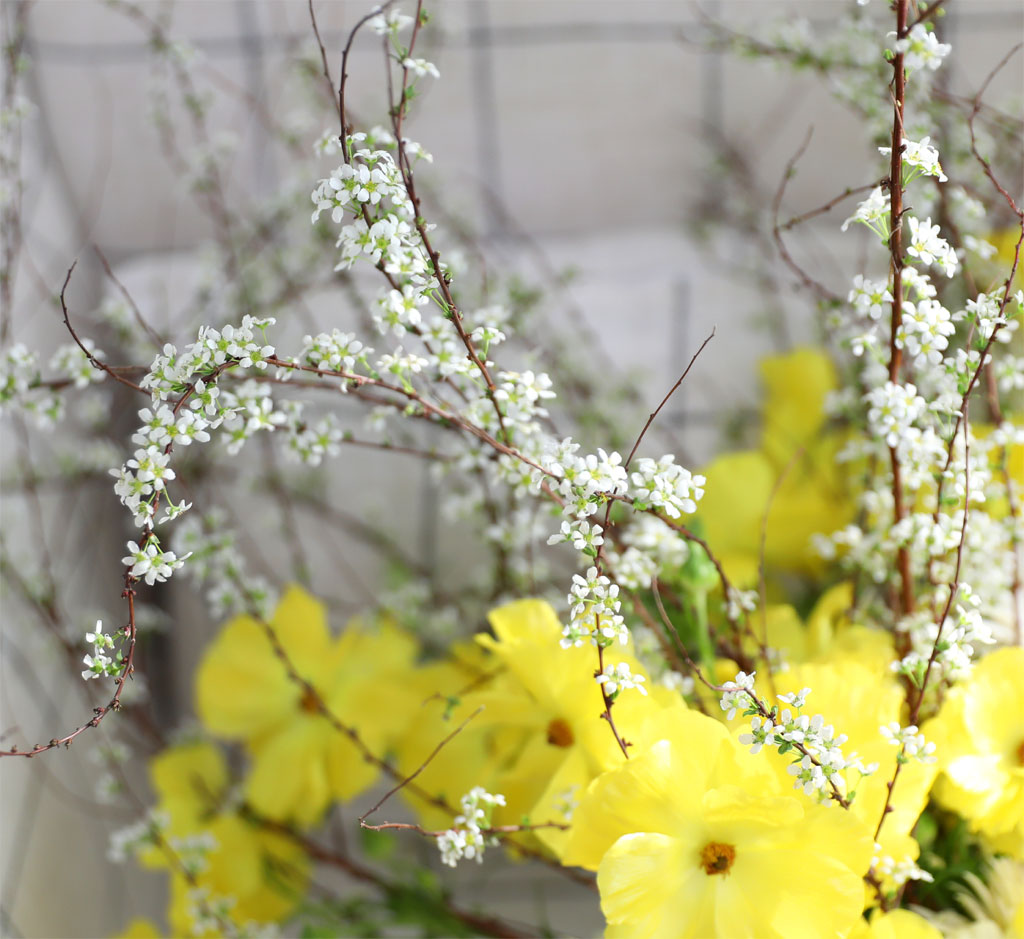 Spring & sweet - Spring bride ²ÉÁý ²É¹è´Þ