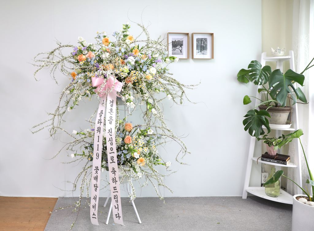 ÃàÇÏÈȯ¿ÀºêÁ¦- º¢²ÉÀÌ ÇÊ ¹«·Æ °áÈ¥ÇØ¿ä