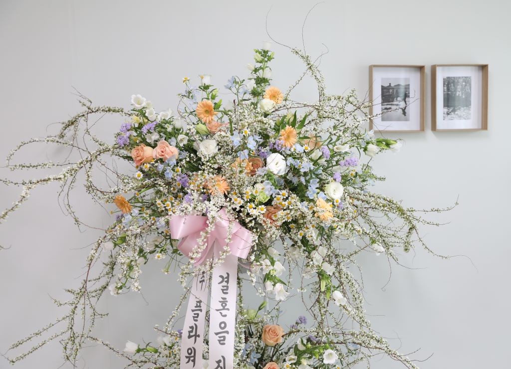 ÃàÇÏÈȯ¿ÀºêÁ¦- º¢²ÉÀÌ ÇÊ ¹«·Æ °áÈ¥ÇØ¿ä