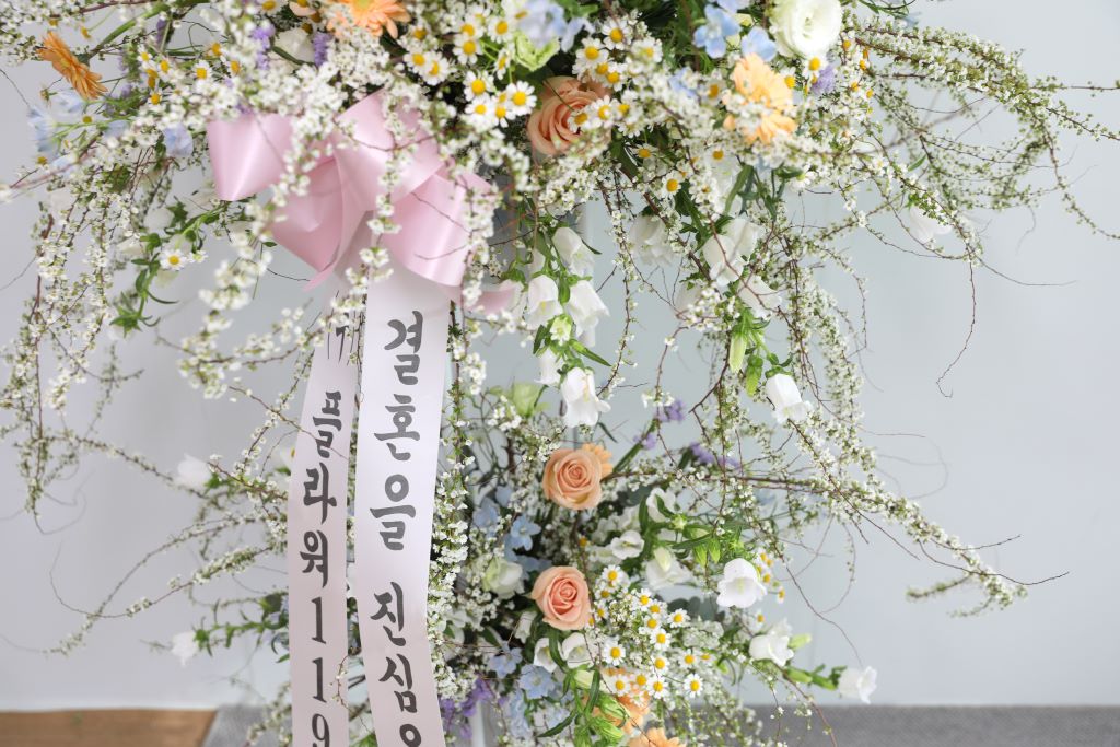 ÃàÇÏÈȯ¿ÀºêÁ¦- º¢²ÉÀÌ ÇÊ ¹«·Æ °áÈ¥ÇØ¿ä