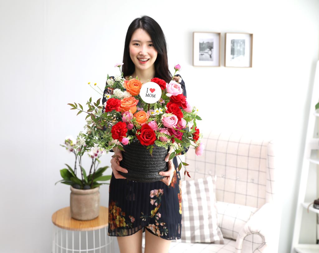 [,]Bravo, My Life!  ɹ