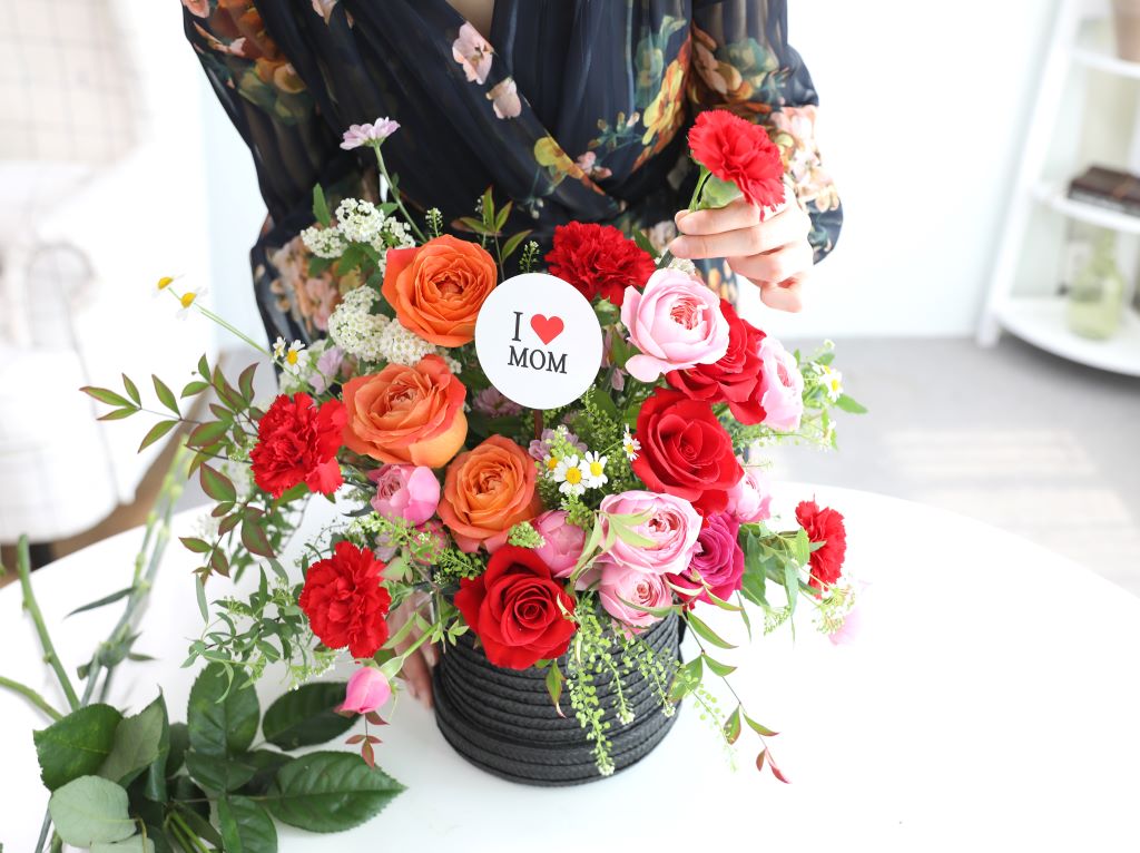 [,]Bravo, My Life!  ɹ