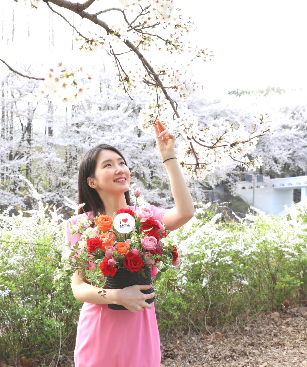 [,]Bravo, My Life!  ɹ