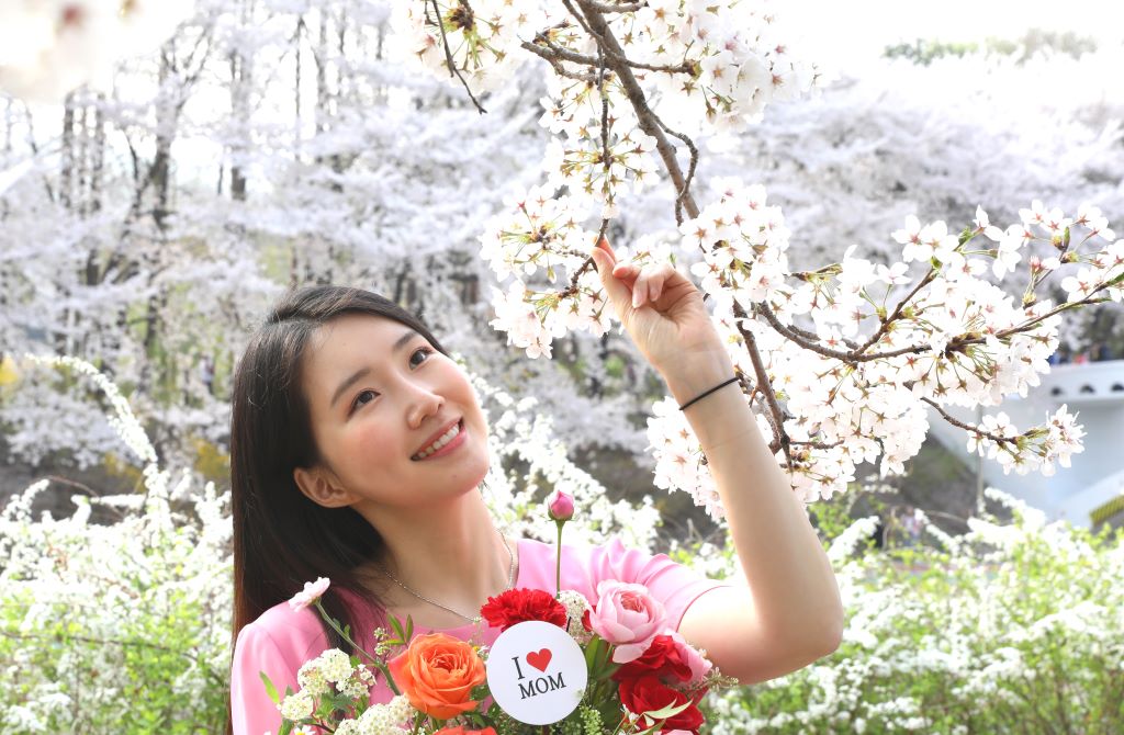 [,]Bravo, My Life!  ɹ