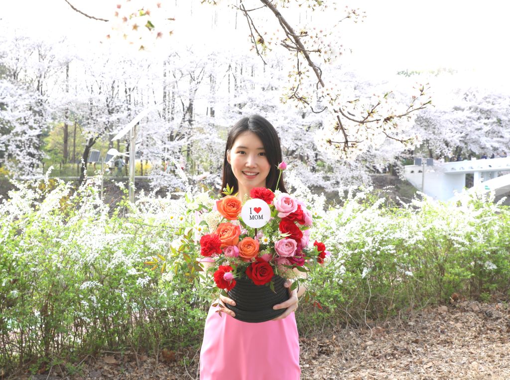 [,]Bravo, My Life!  ɹ