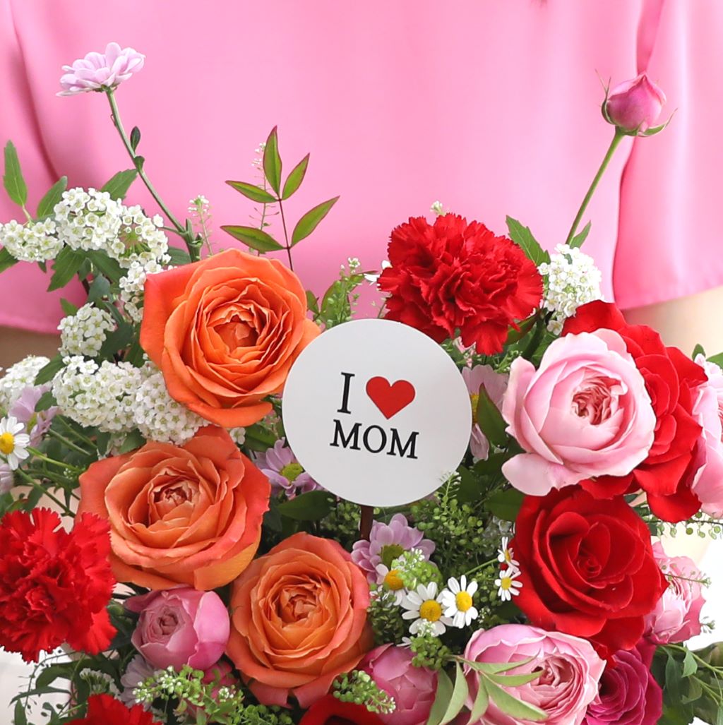 [,]Bravo, My Life!  ɹ