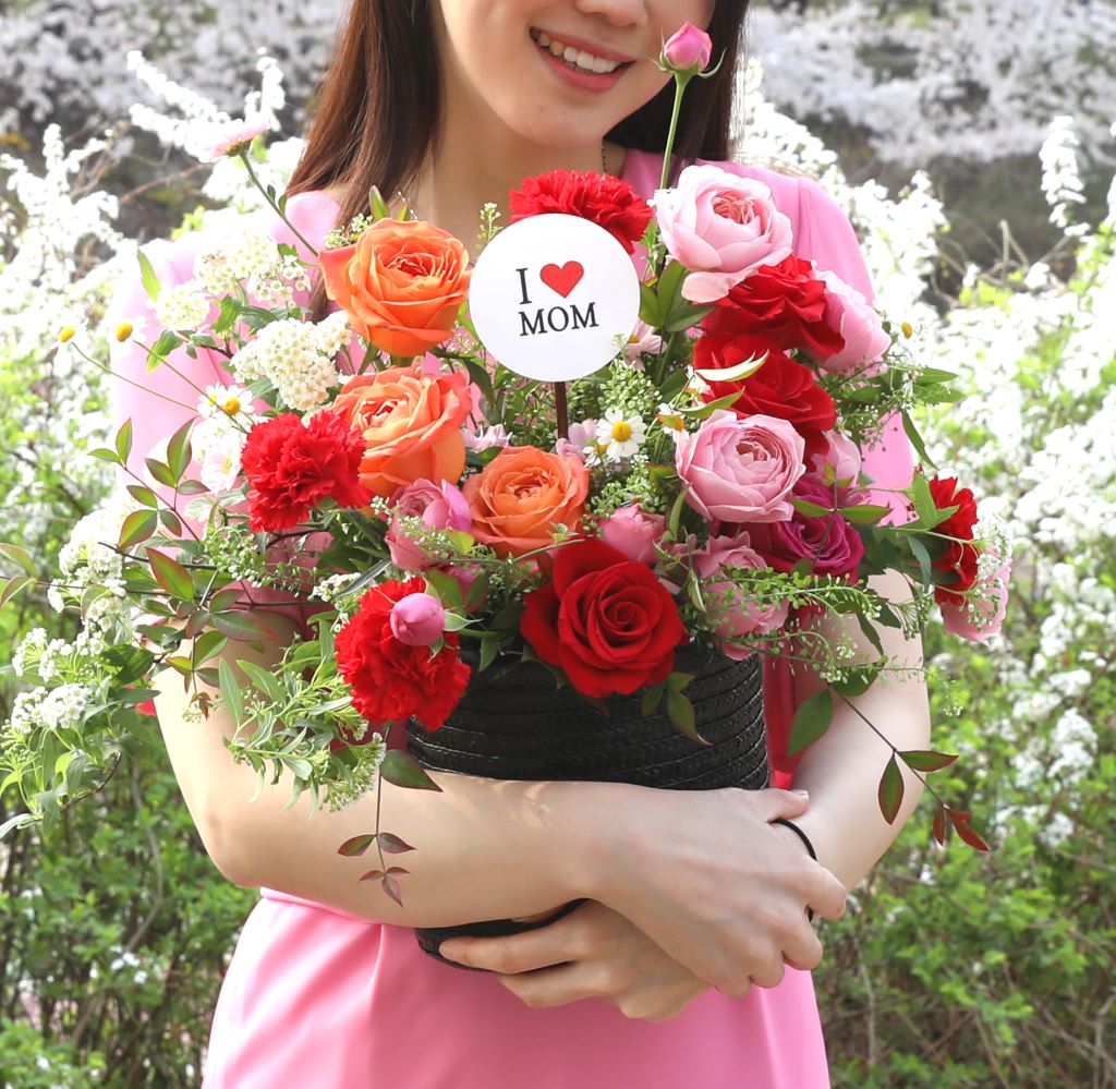 [,]Bravo, My Life!  ɹ