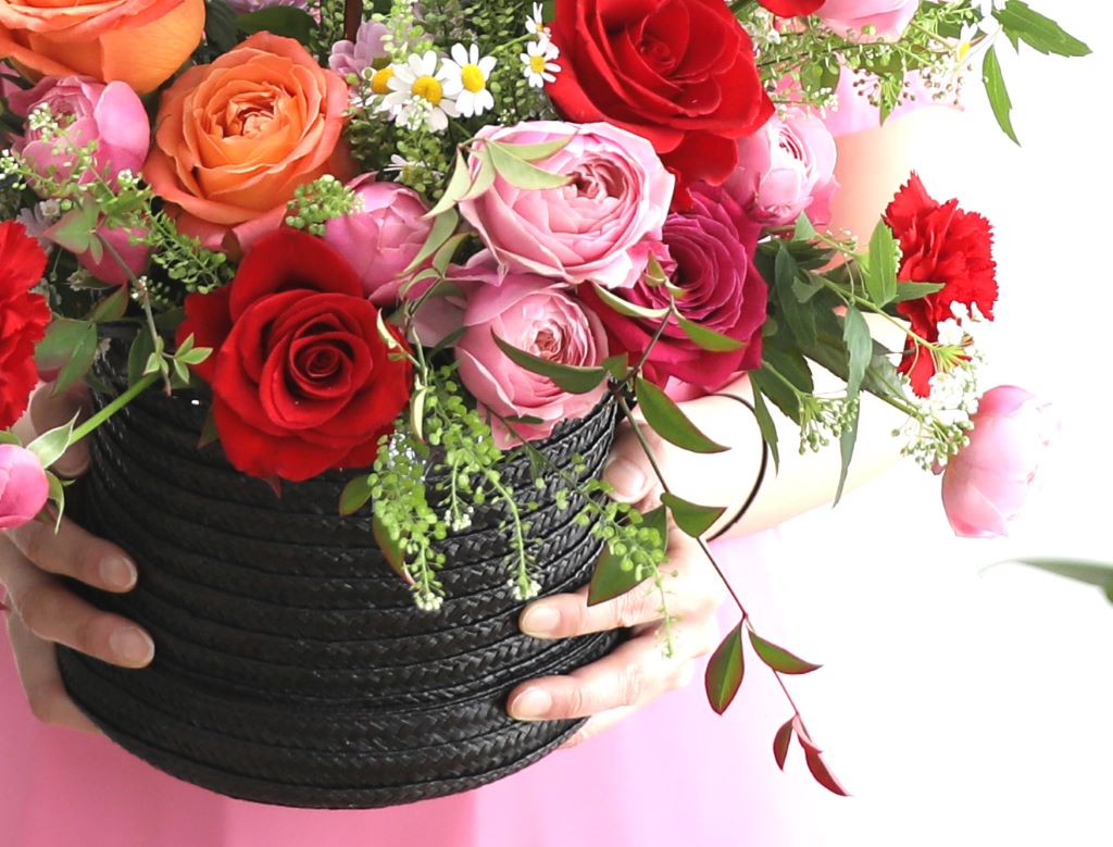 [,]Bravo, My Life!  ɹ