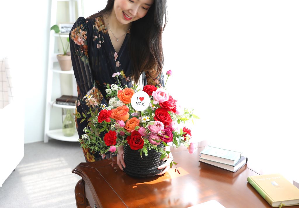 [,]Bravo, My Life!  ɹ