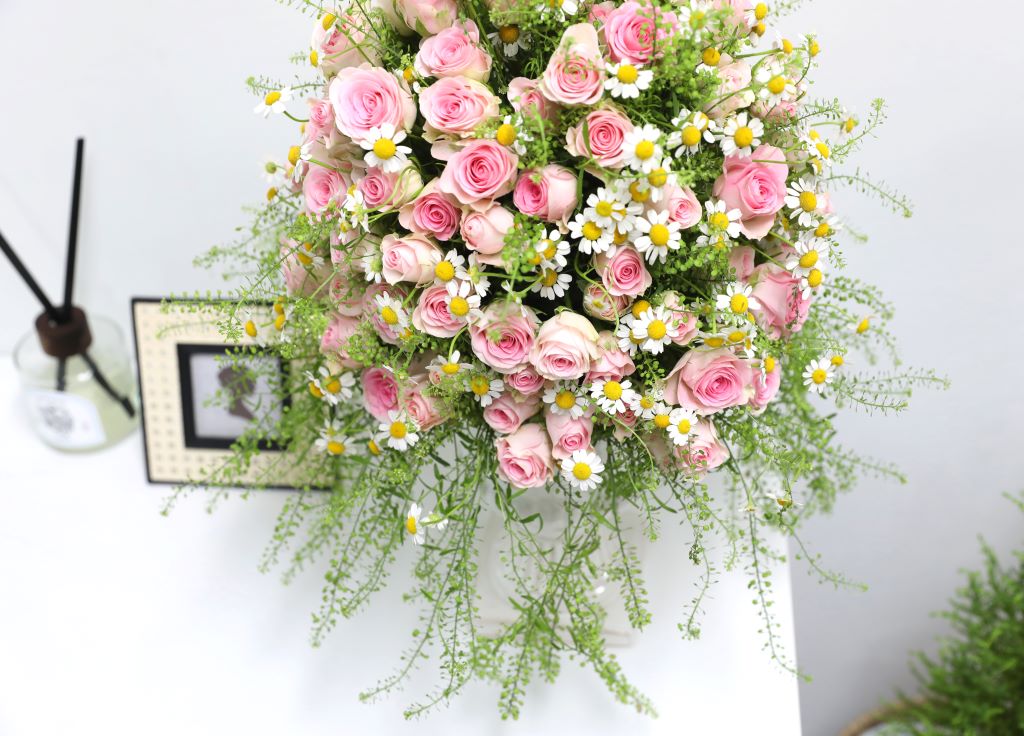 ÇÎÅ©µå·¹½º